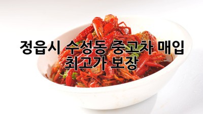 정읍시 수성동 중고차 매입 최고가 보장!